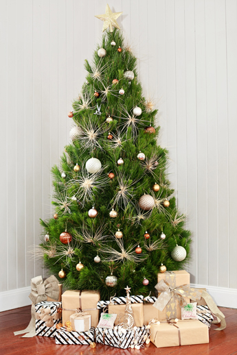 Featured image of post Real Merry Christmas Christmas Tree Images / Choose from our professional christmas images including decorations, snow, presents or seasonal backgrounds.