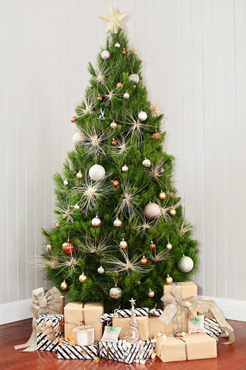 pictures of merry christmas trees